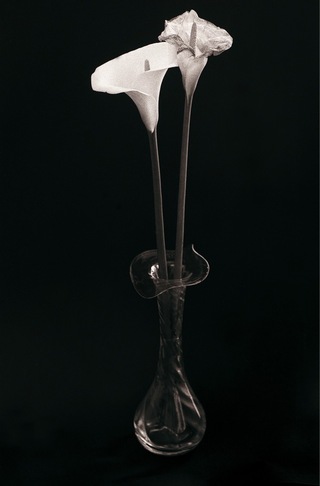 Carmine Fiore | Appunti floreale: 1