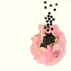 Claudia Marini | spore