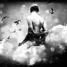 Damiano Calì | Looking Back