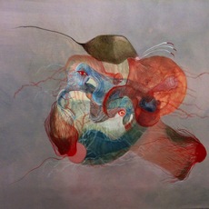 Emelina Valdes Ortiz | Conchiglie