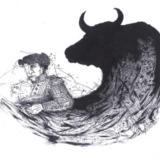 Evan Polenghi | matador