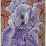 Fiorella Iori | Bocciolo Bianco