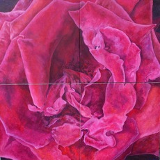 Fiorella Iori | Rosa Rossa