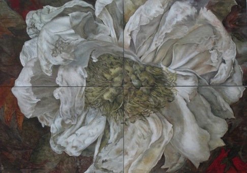 Fiorella Iori | Peonia Bianca