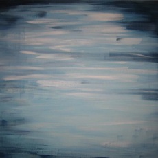 FRANCESCA LIBARDONI | cieli