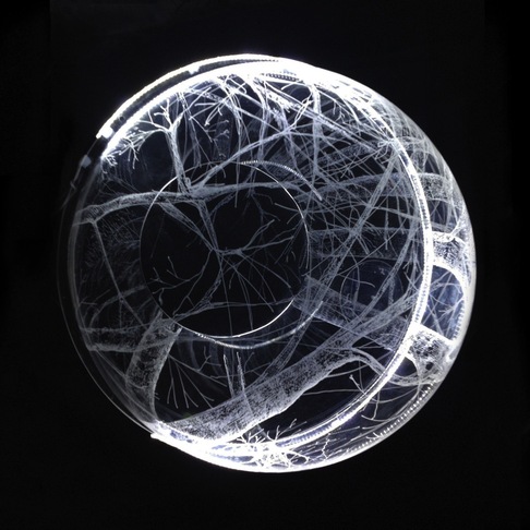 Francesca Sibona Masi | BRAIN TREE