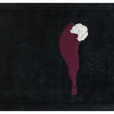 loma | Le foglie
