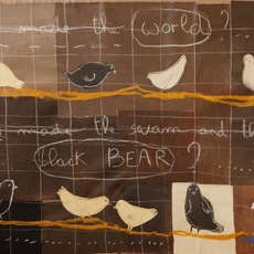 Luciana Meazza | black bear