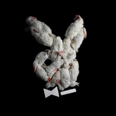 Marco Schifano | Playboy