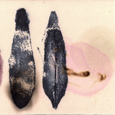Pietro Pastore | DISEGNO #1