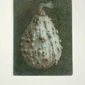 Sabrina Benelli | Zucca