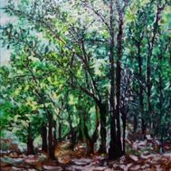 GIUSEPPE PALLITTO | BOSCO-MONTICCHIO