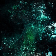 Maisa Champalimaud | ”Everything is possible in Neverland”