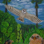 Thea O’Brien | Meeting of the Bird Tribes