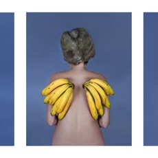 YULIA KNISH | untitled