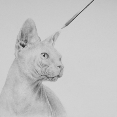  | disegno E matita (creazione)
