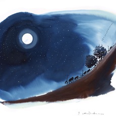 alume | tracce