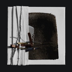 Claudio Brunello | Esperienze