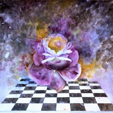 Cristina Campestrin | NELL'ANIMA