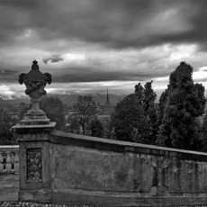 Davide Pisani | Gaze of the Queen