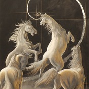 EMP | sezione aurea