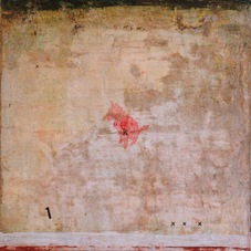 Fabio Presti | solo cane