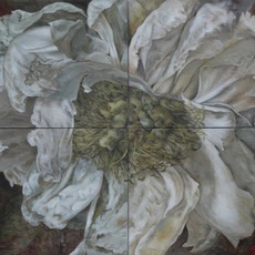 Fiorella Iori | Peonia bianca