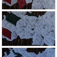 FRANCESCO CIAVARELLA | napoletana di spazzatura