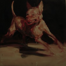 Gabriela Bodin | Dog running