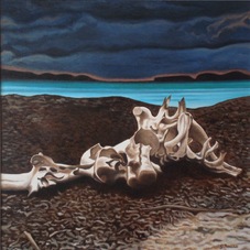 Giuseppe Ferrando | le lagune del tempo