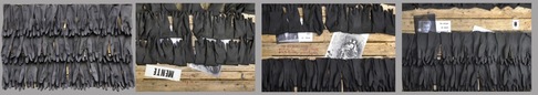 Giuseppe Papaleo | A Parziale Difesa Di Me Stesso (APDMS)
