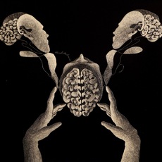Elisabetta Losi | Utero esterno