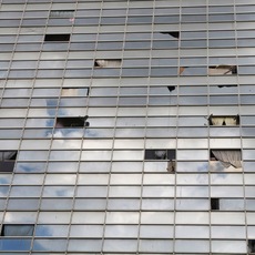Irene Pressner | Torre David