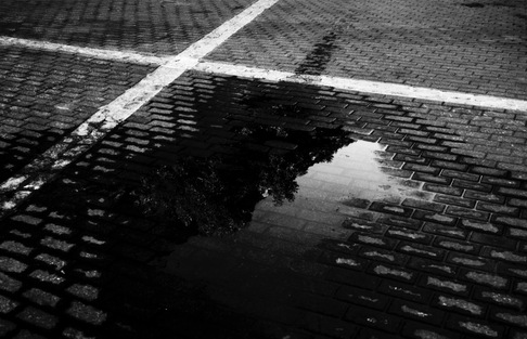 JOAN PLA | REFLEJOS