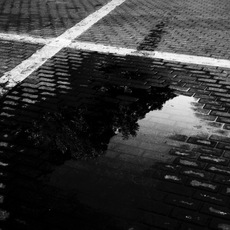 JOAN PLA | REFLEJOS