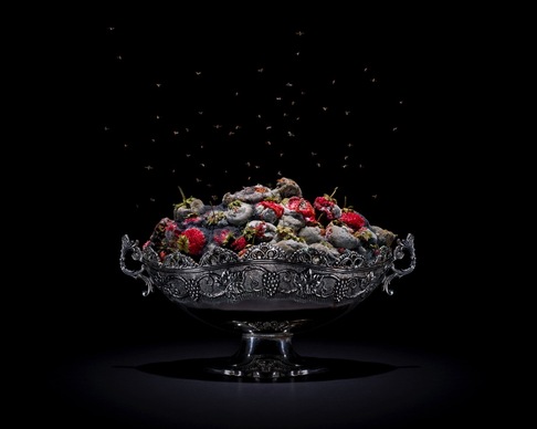Klaus Pichler | Strawberries