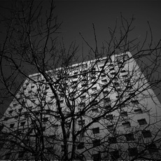 Luca Ronchi | WTC