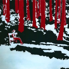 Mara Angeli | Emozioni nel bosco