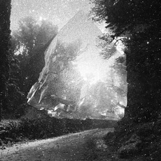 Marco Morici | My heart is a mineral - Halite 40 k