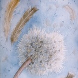 Mariagrazia Omodeo | Soffioni con piume