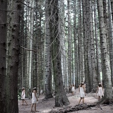 Valentina Ramacciotti | la strada persa