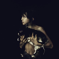 Nicol Vizioli |