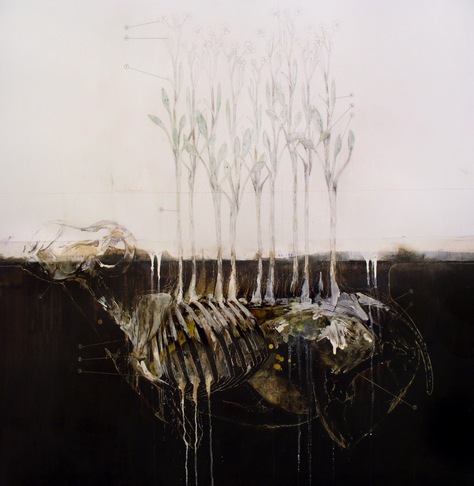 Nunzio Paci | campo di ranuncoli