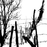 Paolo Schifano | La stagione del silenzio 03