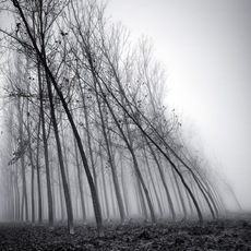 Pierre Pellegrini | Acqua e vento, la forza della natura