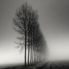 Pierre Pellegrini | Rigorosamente allineati