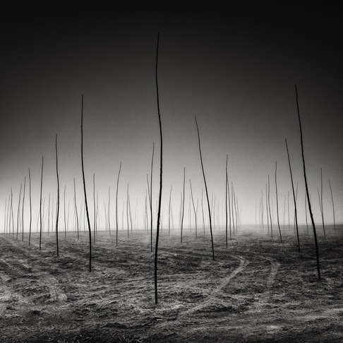 Pierre Pellegrini | Nuove generazioni crescono
