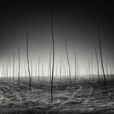 Pierre Pellegrini | Nuove generazioni crescono