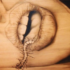 Marco Poggi | False parole