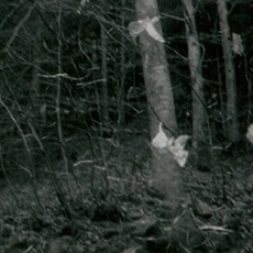 Sergio Fassan | Fill the absence (stati d'animo)